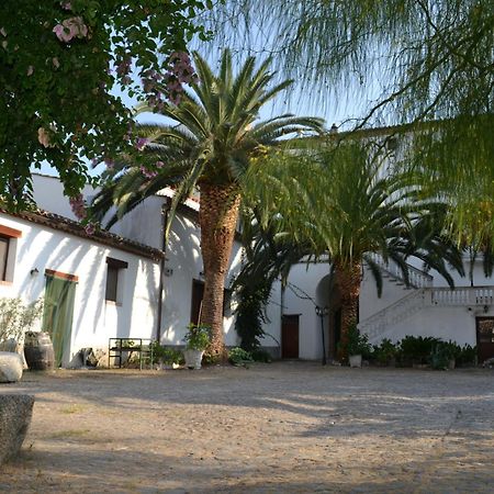 Agriturismo Malena Amica ภายนอก รูปภาพ