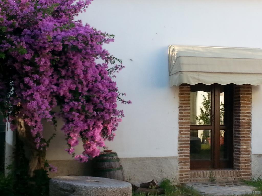 Agriturismo Malena Amica ภายนอก รูปภาพ